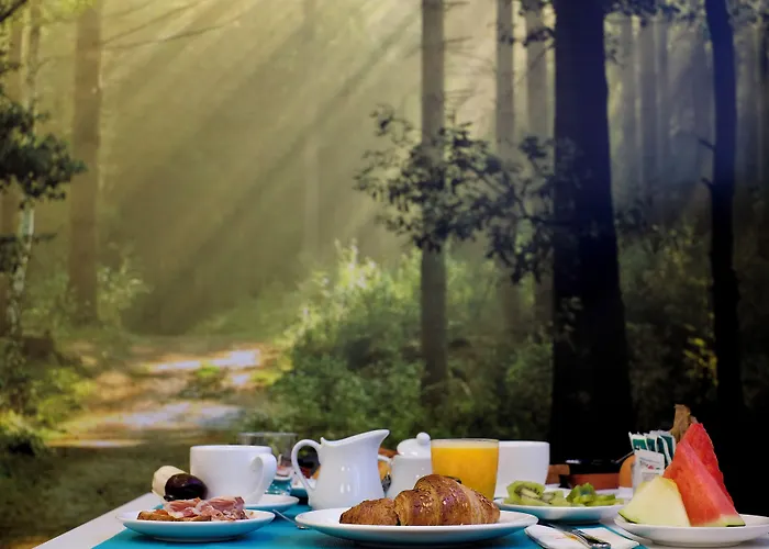 스위트 스튜디오 4*